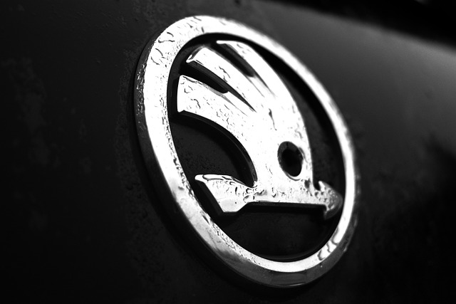Logo Škoda